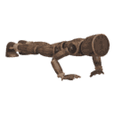 Does push-ups