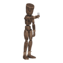 Raises a toast